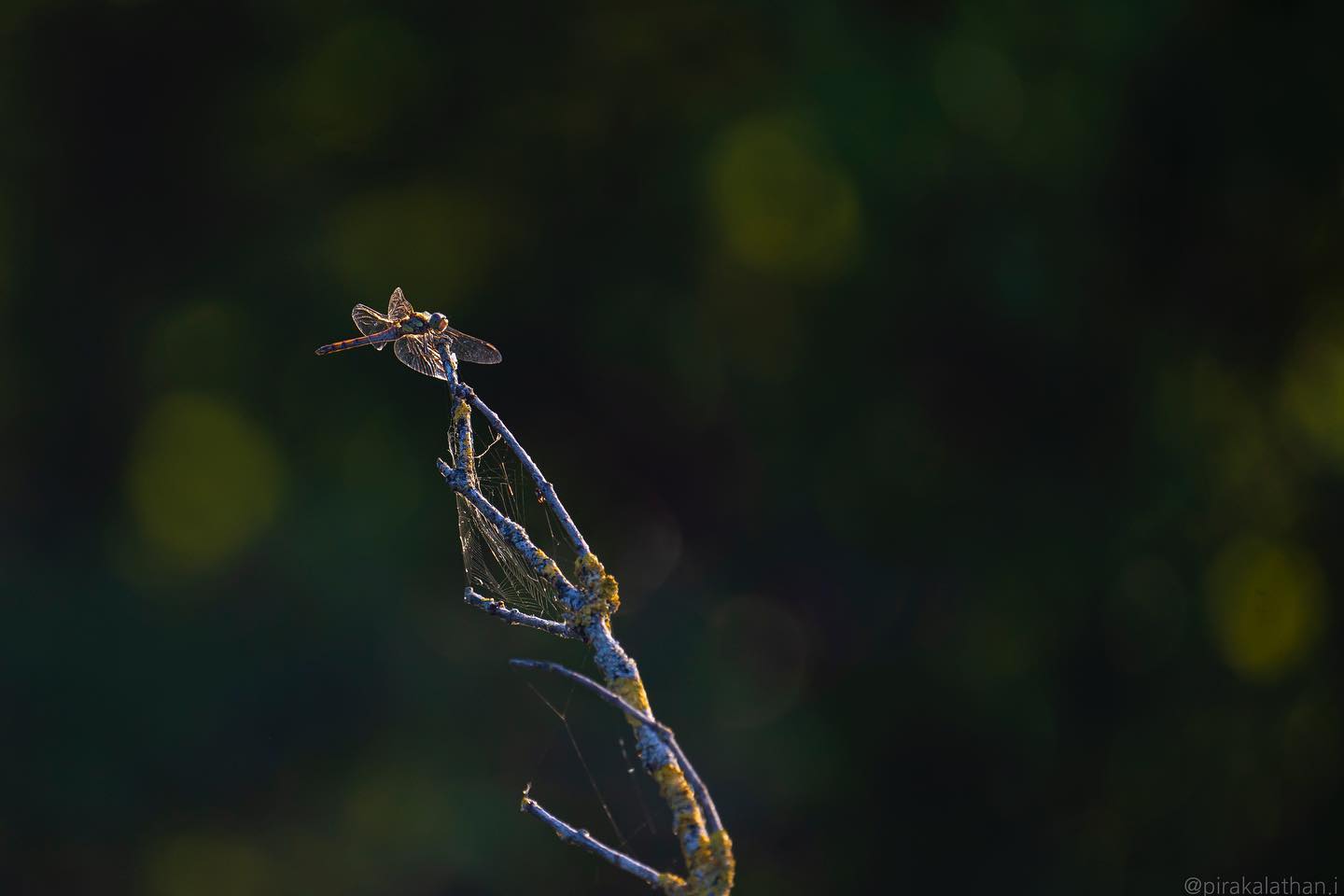 Photography Print